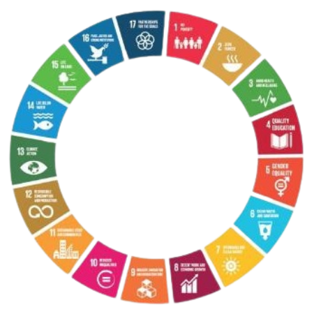 SDGs-Logo-removebg-preview