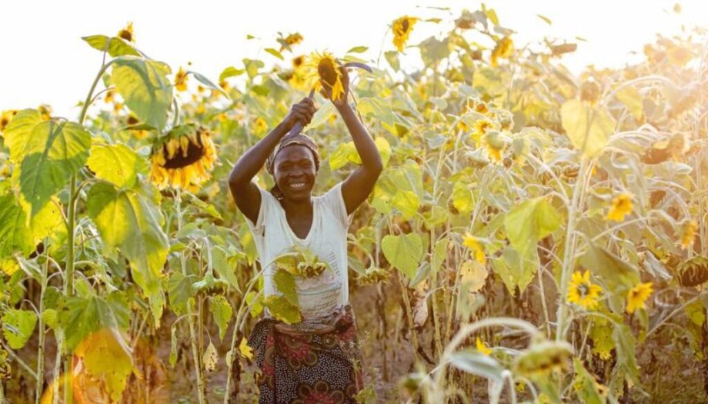 How the UN SDG Summit aims to transform the world